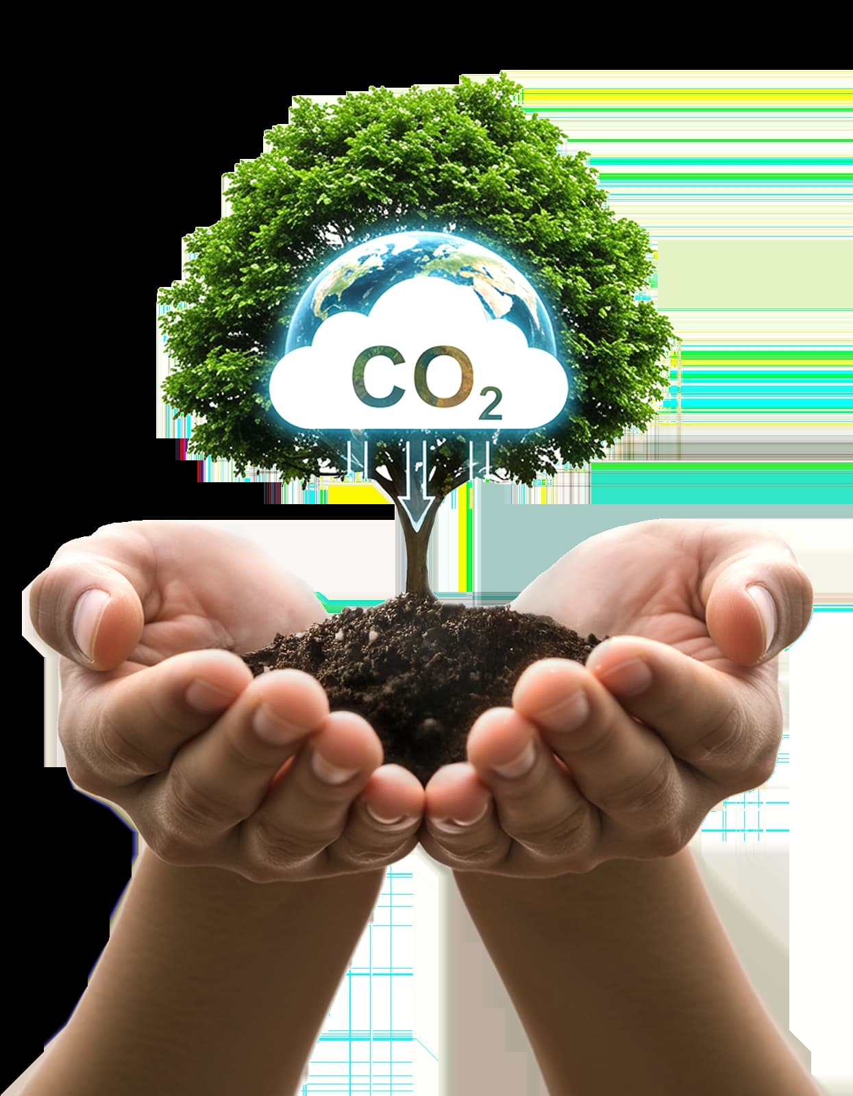 Hands holding a plant with CO2 icon