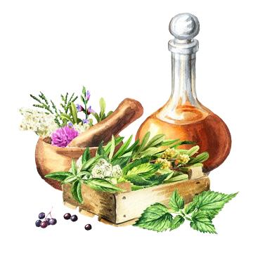 Medicinal herbs and ecosystem services